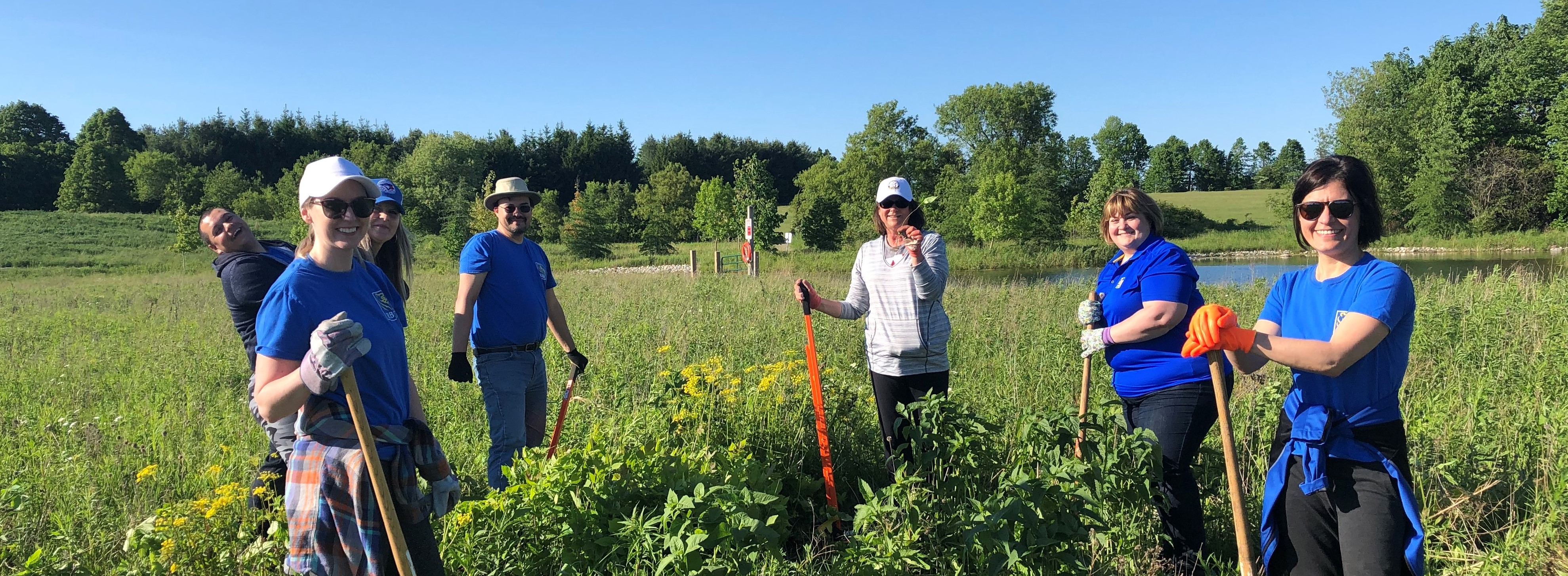 Volunteers remove invasive species at Guelph Lake Park