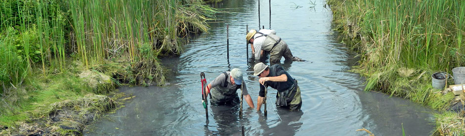 Men working in to restore wetland