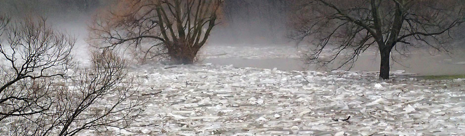 Flooded river covered in large chunks of ice