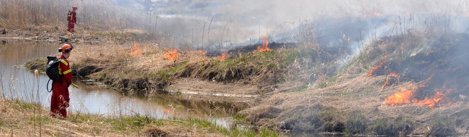 Professionals overseeing a prescribed burn at Snyder's Flats