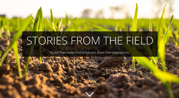 Stories from the field cover photo