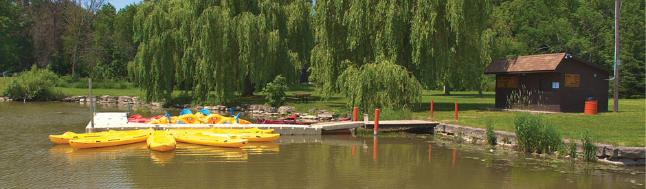 Bying Isand's boat dock with several yellow kayaks docked