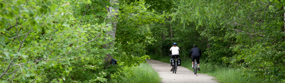 Cycling the Elora Cataract Trail with dense, green trees lining the trail.