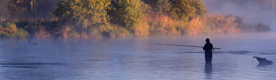 Flyfishing in the river, at dawn
