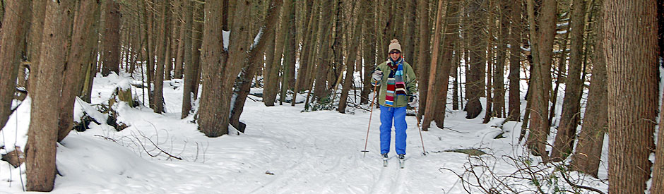 Woman cross-country skiing in forest