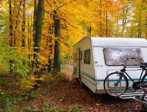 Campervan parked at treed campsite with a bicycle attached to the back. 