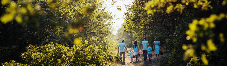 Families walking through a forest on a trail