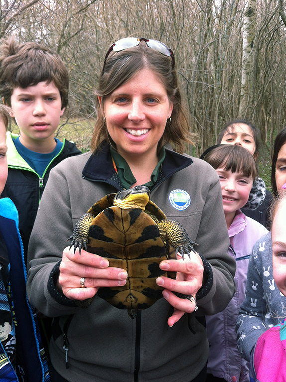 Staff holding Blandings turtle found by class at nature centre