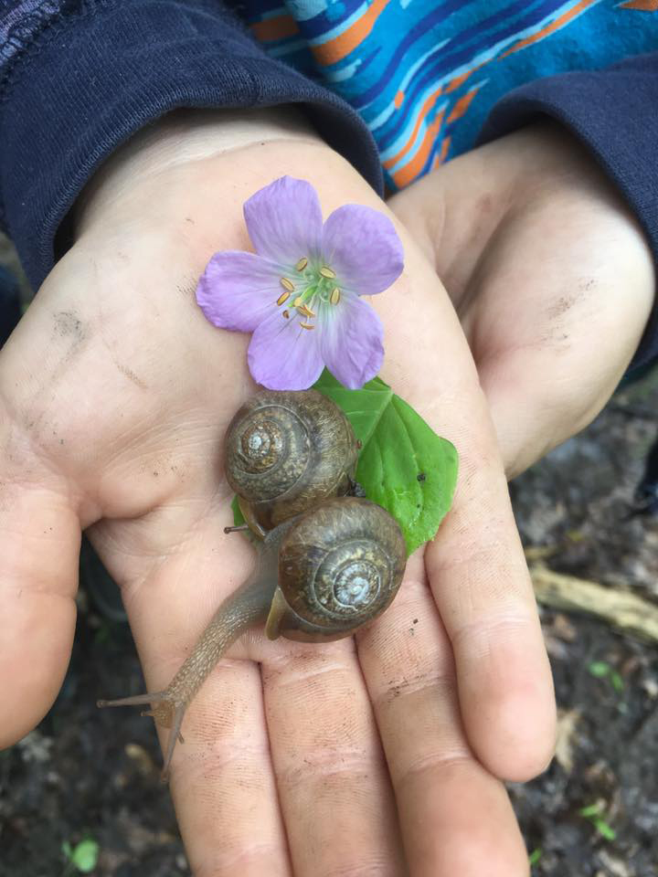 Child's hand with snails