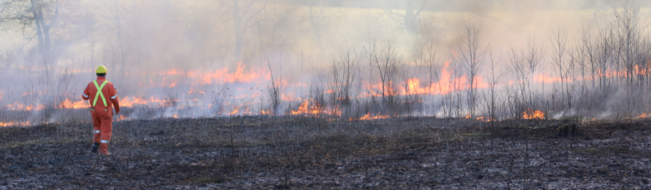 A controlled burn is used to create grassland habitat