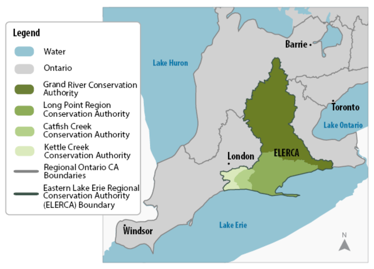 Map of southwestern Ontario showing the future Eastern Lake Erie Regional Conservation Authority (ELERCA). The Grand River, Long Point Region, Catfish Creek, and Kettle Creek conservation authorities are shown in different shades of green within the new regional boundary.