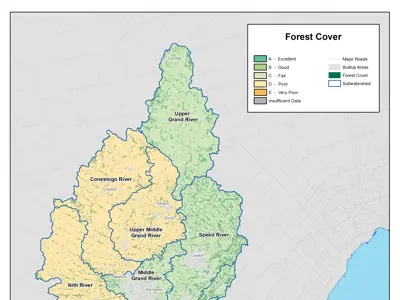 Forest Cover