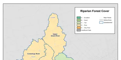 Riparian Forest Cover