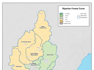 Riparian Forest Cover